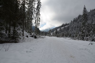 Scenic view of snow covered landscape against sky