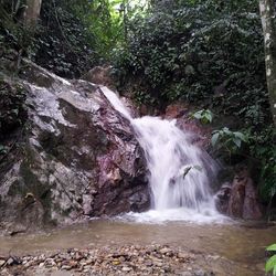 Scenic view of river flowing through rocks