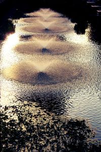 Reflection of clouds in water