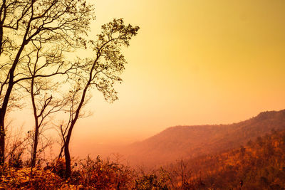 Silhouette trees on landscape against sky during sunset