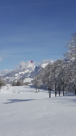 Snow covered land and trees against blue sky