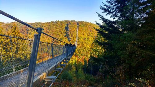 Yellow bridge amidst trees in forest during autumn