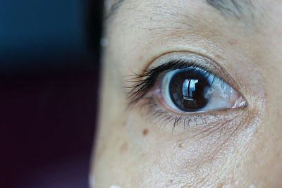 Close-up of human eye