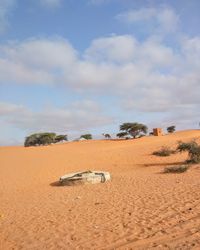 Scenic view of desert against sky