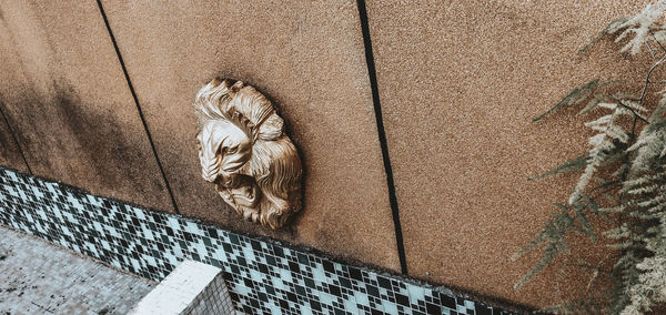 Low angle view of cat on wall