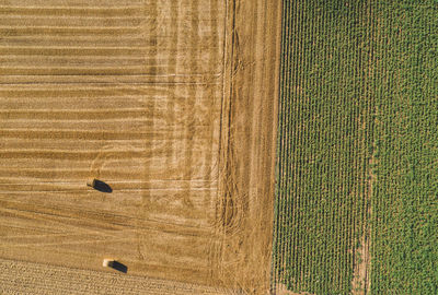 Directly above aerial shot of hay bales on agricultural field