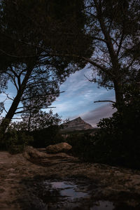 Scenic view of waterfall in forest against sky