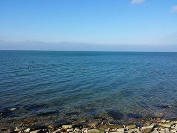 Scenic view of sea against blue sky