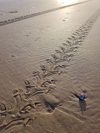 High angle view of footprints on sand at beach