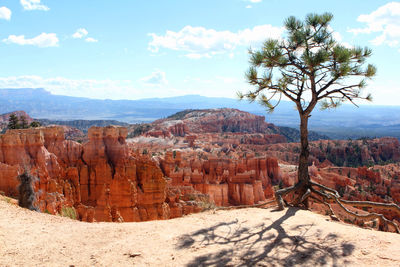 Scenic view of landscape against cloudy sky