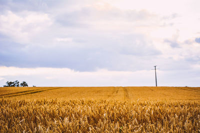 Scenic view of field against cloudy sky