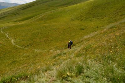 Rear view of man walking on field