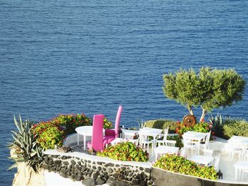 High angle view of potted plant on table by sea