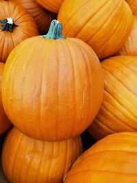 Full frame shot of pumpkins at market