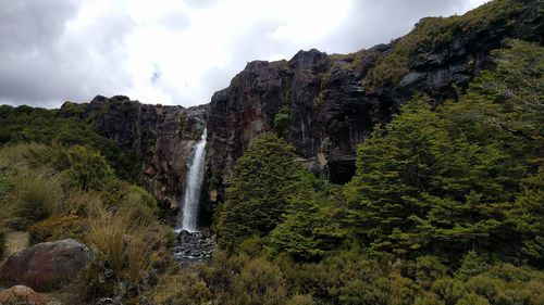 Scenic view of waterfall