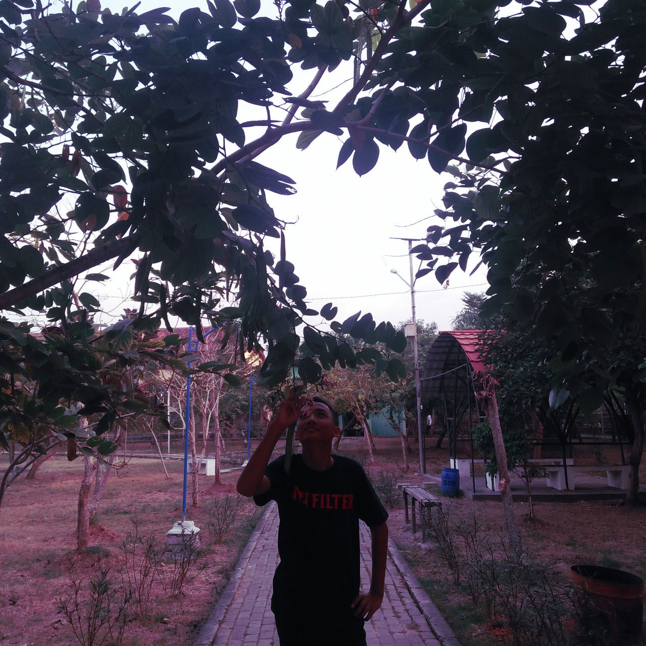 MAN STANDING BY PLANTS IN PARK