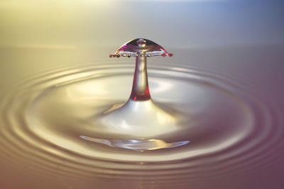 Close-up of splashing droplet