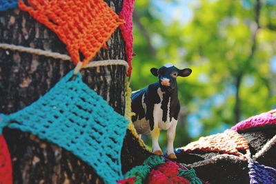 Close-up of plant against blurred background