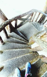 Reflection of trees in water
