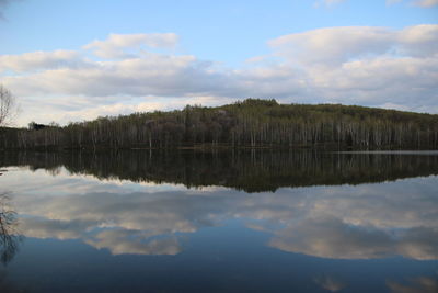 Scenic view of lake by trees against sky