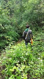 Rear view of man standing in forest