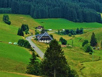 Scenic view of green landscape and houses