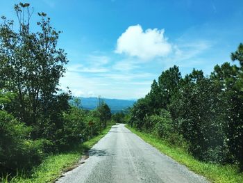 Road amidst trees against sky