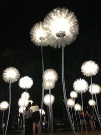 Low angle view of illuminated ferris wheel at night