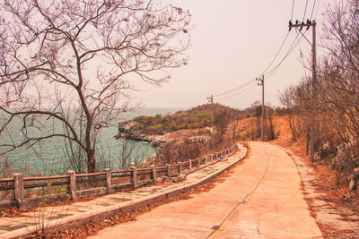 Road amidst bare trees against sky