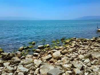 Scenic view of sea against clear blue sky