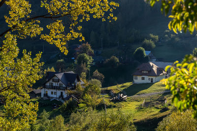 Trees and houses on field by buildings