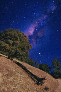 Scenic view of trees against star field at night
