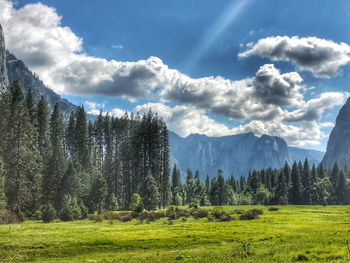 Yosemite national park in sunshine