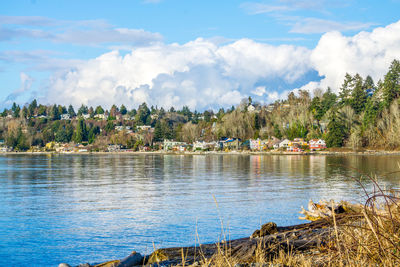 A view of the west seattle shoreline from lincoln park.