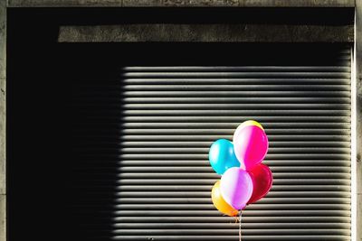 Close-up of multi colored balloons