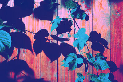 High angle view of people on wooden wall