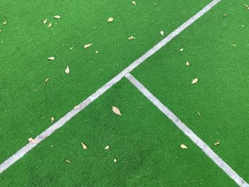 High angle view of soccer field