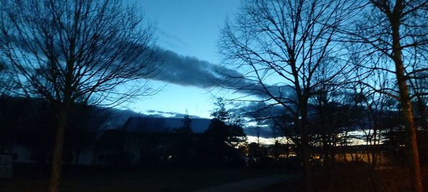 Silhouette bare trees and houses against sky