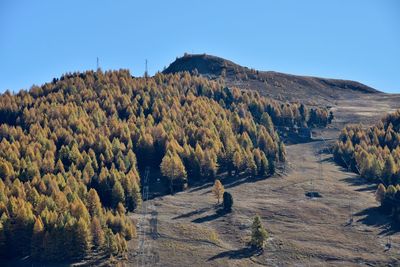 Scenic view of landscape against clear sky