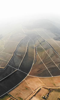 Aerial view of agricultural field
