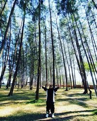 Full length of man standing on field in forest