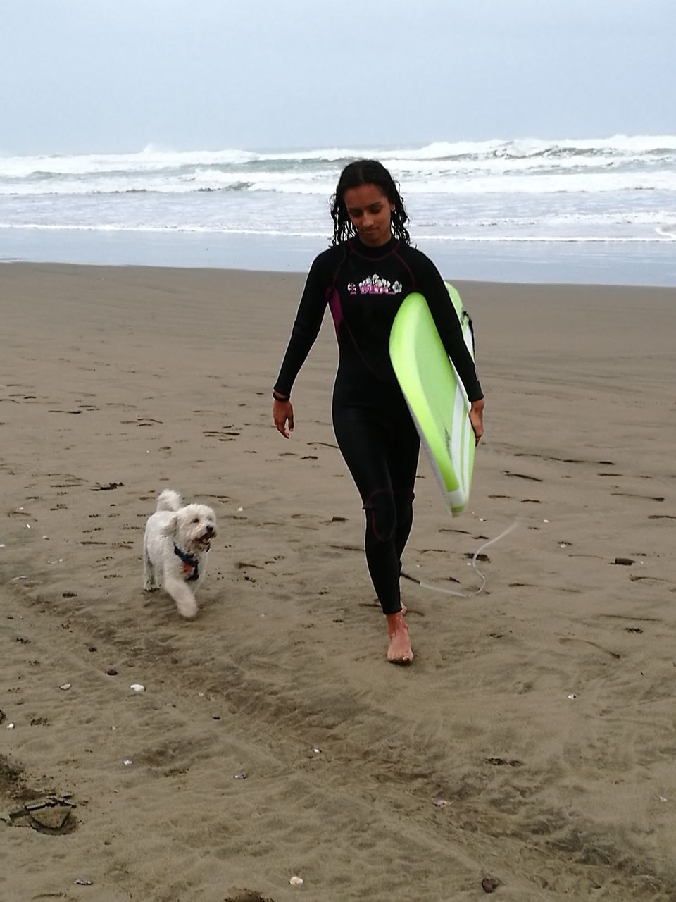 beach, sea, sand, dog, pets, full length, one person, nature, real people, horizon over water, leisure activity, standing, one animal, domestic animals, front view, lifestyles, outdoors, day, mammal, sky, black color, animal themes, young women, water, young adult, beauty in nature, portrait, warm clothing, people