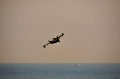 Bird flying over sea against clear sky