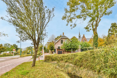 House by trees against sky