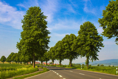 tree