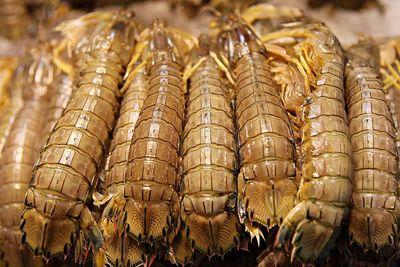 Close-up of fish for sale in market