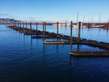 Pier on sea against clear blue sky