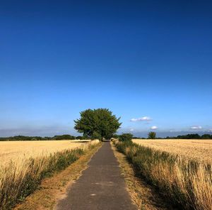 Dirt road amidst field against blue sky