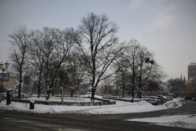 Bare trees in city during winter