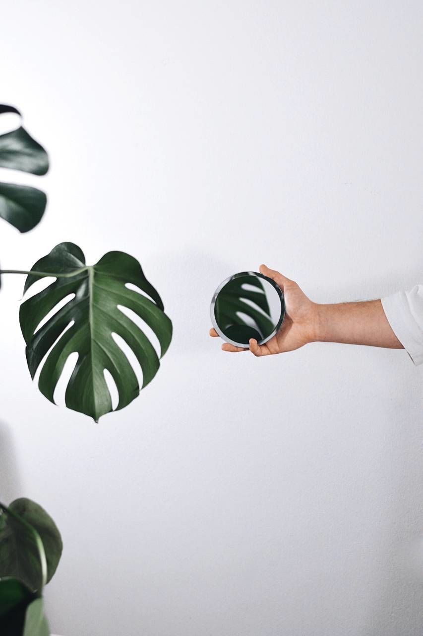 CLOSE-UP OF HAND HOLDING LEAF OVER WHITE BACKGROUND